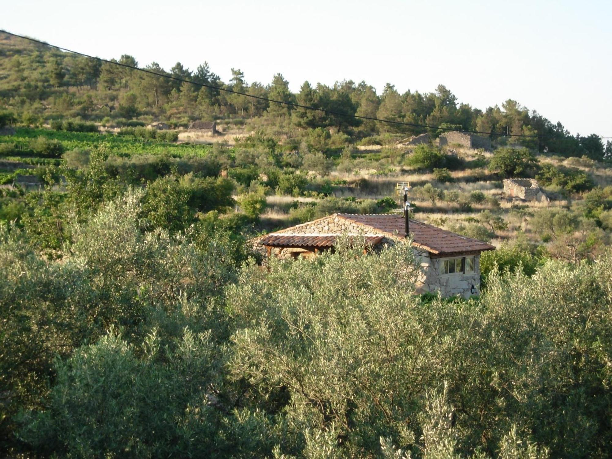 Hotel Outros Tempos Turismo De Aldeia à Aricera Extérieur photo
