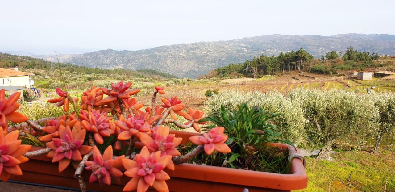 Hotel Outros Tempos - Turismo De Aldeia à Aricera Extérieur photo