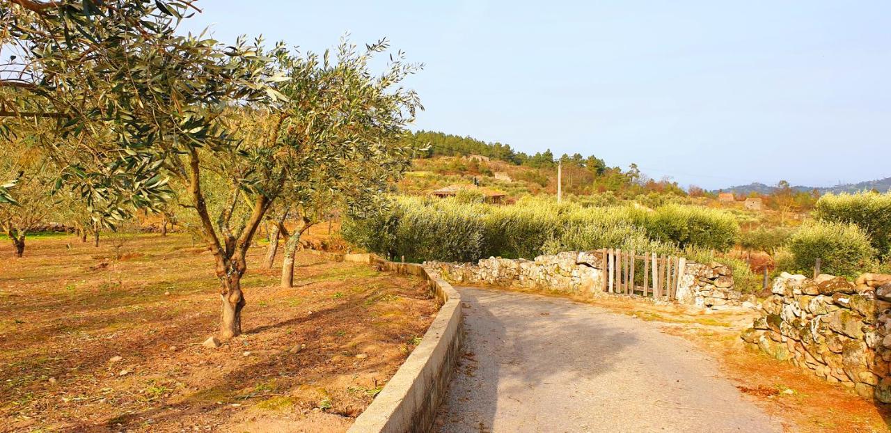 Hotel Outros Tempos - Turismo De Aldeia à Aricera Extérieur photo